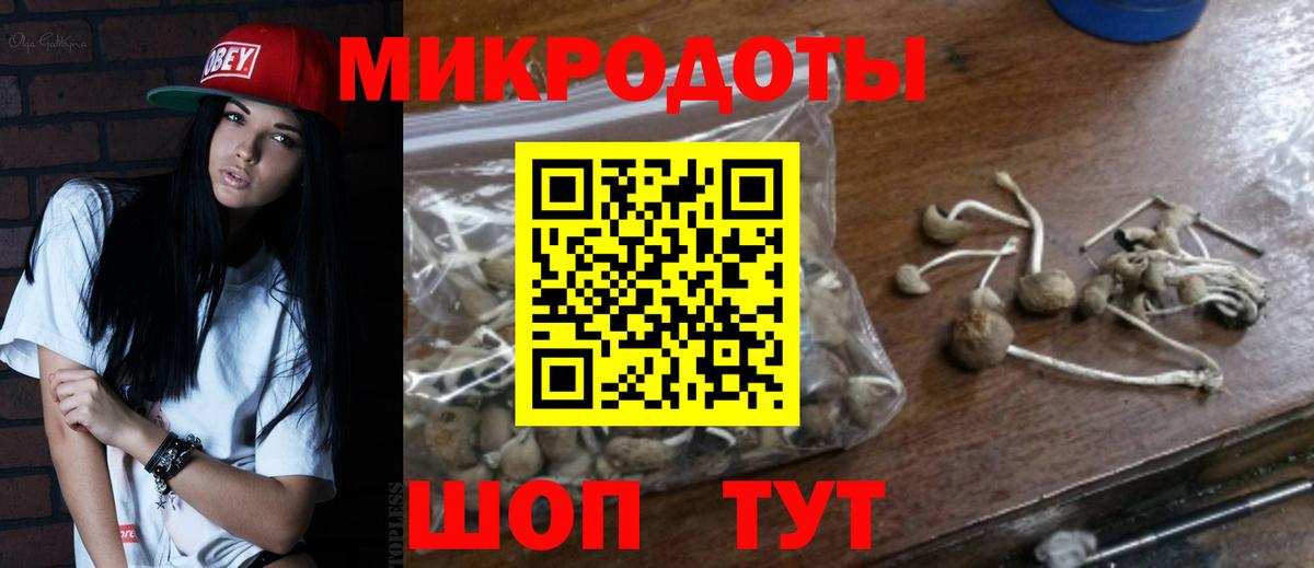 Галлюциногенные грибы MAGIC MUSHROOMS  Вход с VPN  Казань 